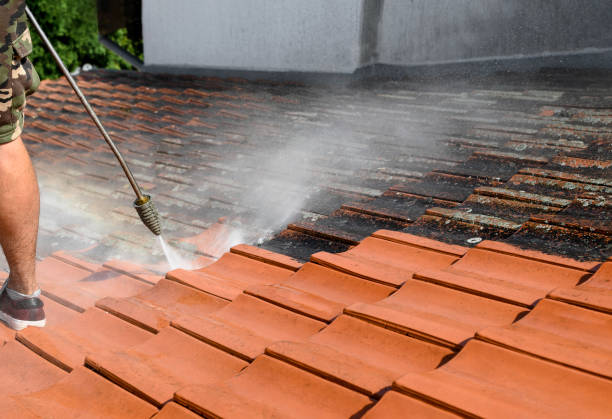 Best Pressure Washing Near Me  in Pacolet, SC